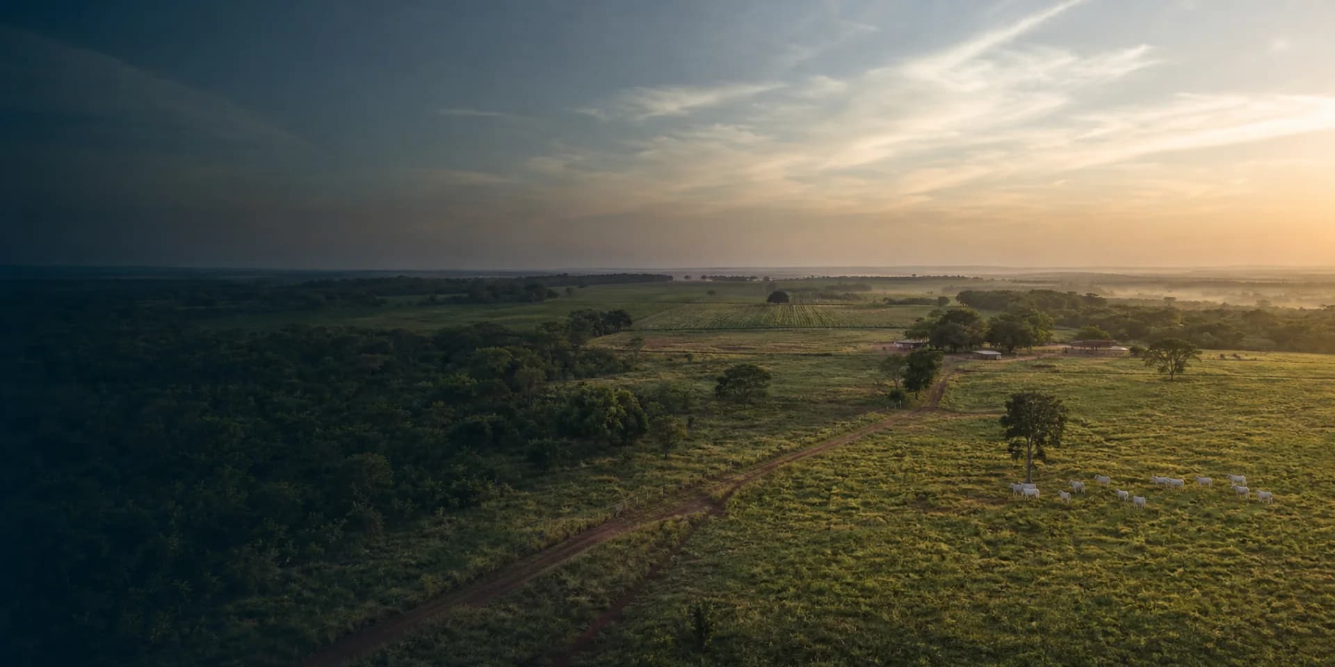 Vista panorâmica de uma fazenda no Cerrado ao amanhecer